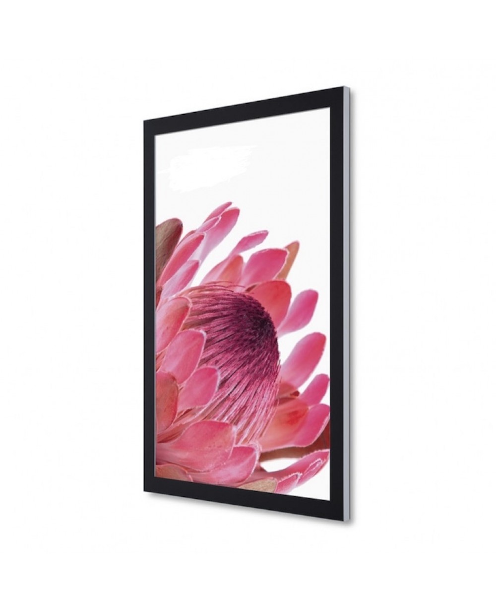 roze Attent mengen Posterlijst Premium Design | A1, A0, B1, 80x120, B0, 118,5x175